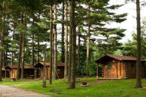 Camping Cabins in the Pines