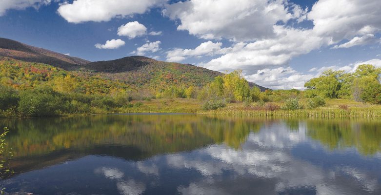 Hero_1_Greylock_Glen_Pond